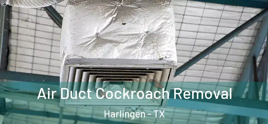 Air Duct Cockroach Removal Harlingen - TX