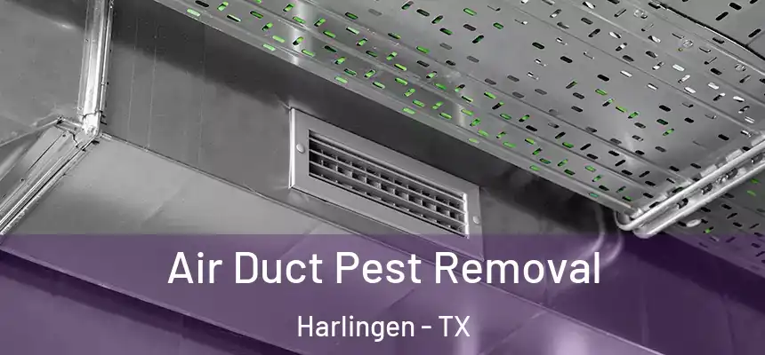 Air Duct Pest Removal Harlingen - TX