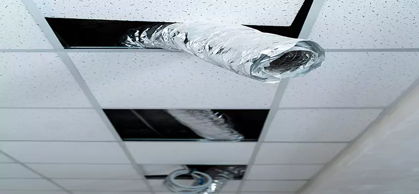 Our Air Duct Pet Hair Removal Services in Harlingen, TX