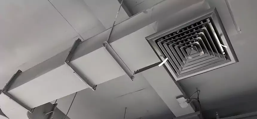 Restorative Allergy Relief Vent Cleaning – Coil, Blower & Housing Detail in Harlingen