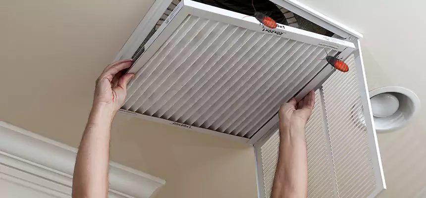 Our Insect Removal from Air Ducts Services in Harlingen, TX