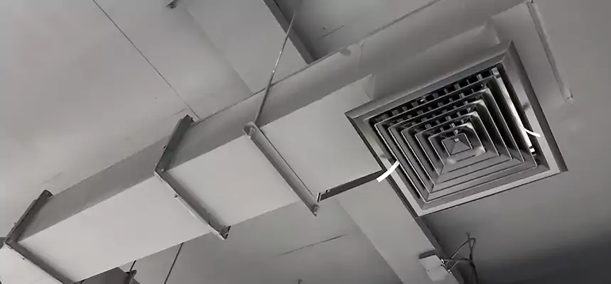 Our Rodent Droppings In Vents Services in Harlingen, TX