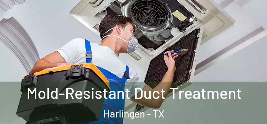 Mold-Resistant Duct Treatment Harlingen - TX