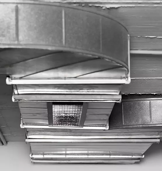 Professional Air Duct Pest Removal in Harlingen, TX