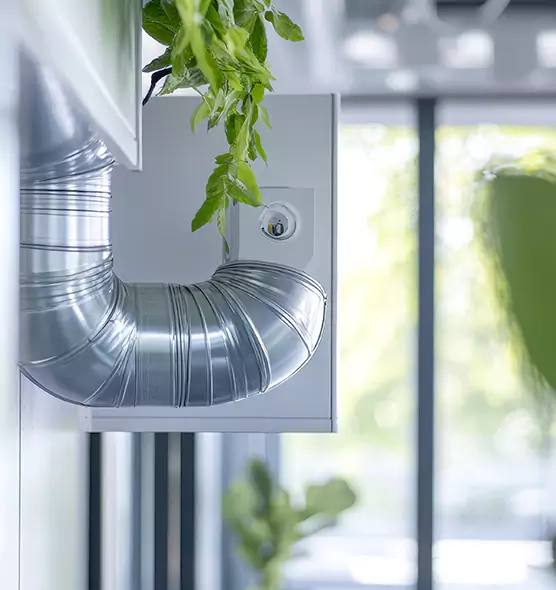 Professional Eco-Friendly Duct Cleaning Services in Harlingen, TX