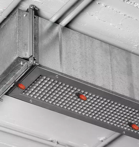 Affordable Insect Removal from Air Ducts in Harlingen, TX