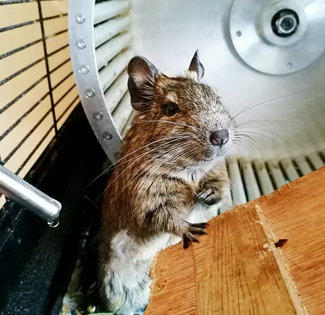 Why Homeowners & Businesses Trust Us Harlingen, TX