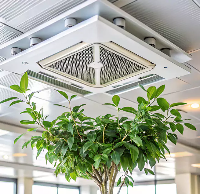 Why Homeowners & Businesses Trust Us in Harlingen, TX?