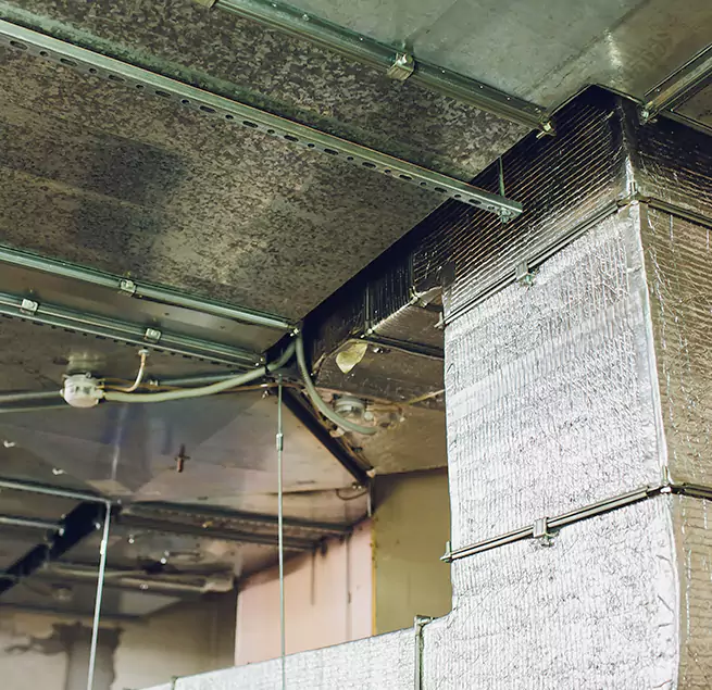 Why Homeowners & Businesses Trust Us in Harlingen, TX?